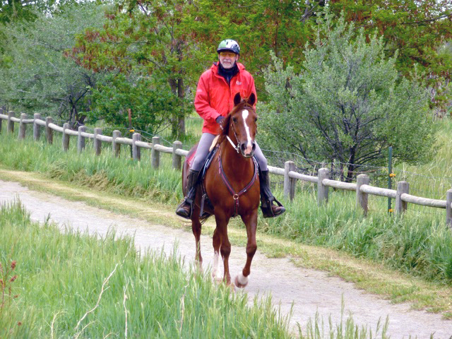 trail riding horse in Boulder