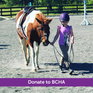 Donate to BCHA