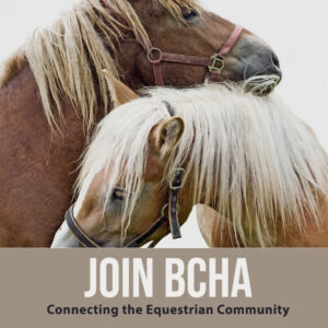 Boulder County Horse Association Join