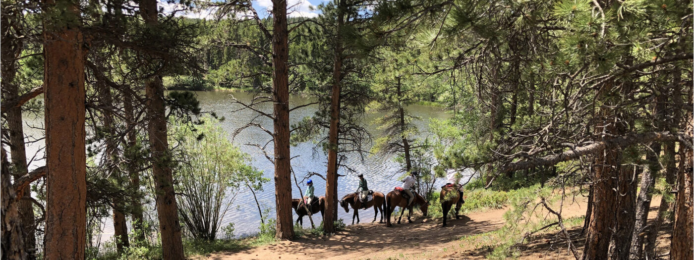 mud-lake-horses