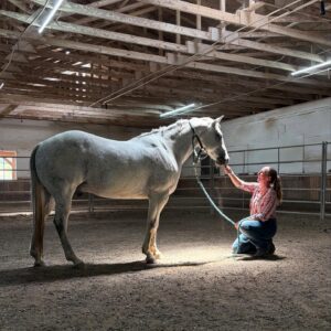 BCHA Education Series for Non-Members: Balance Through Movement Method with Chiara Poscente