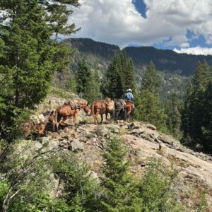 BCHA Education Series for Non-Members: Horse Packing 101 with Emma Brown